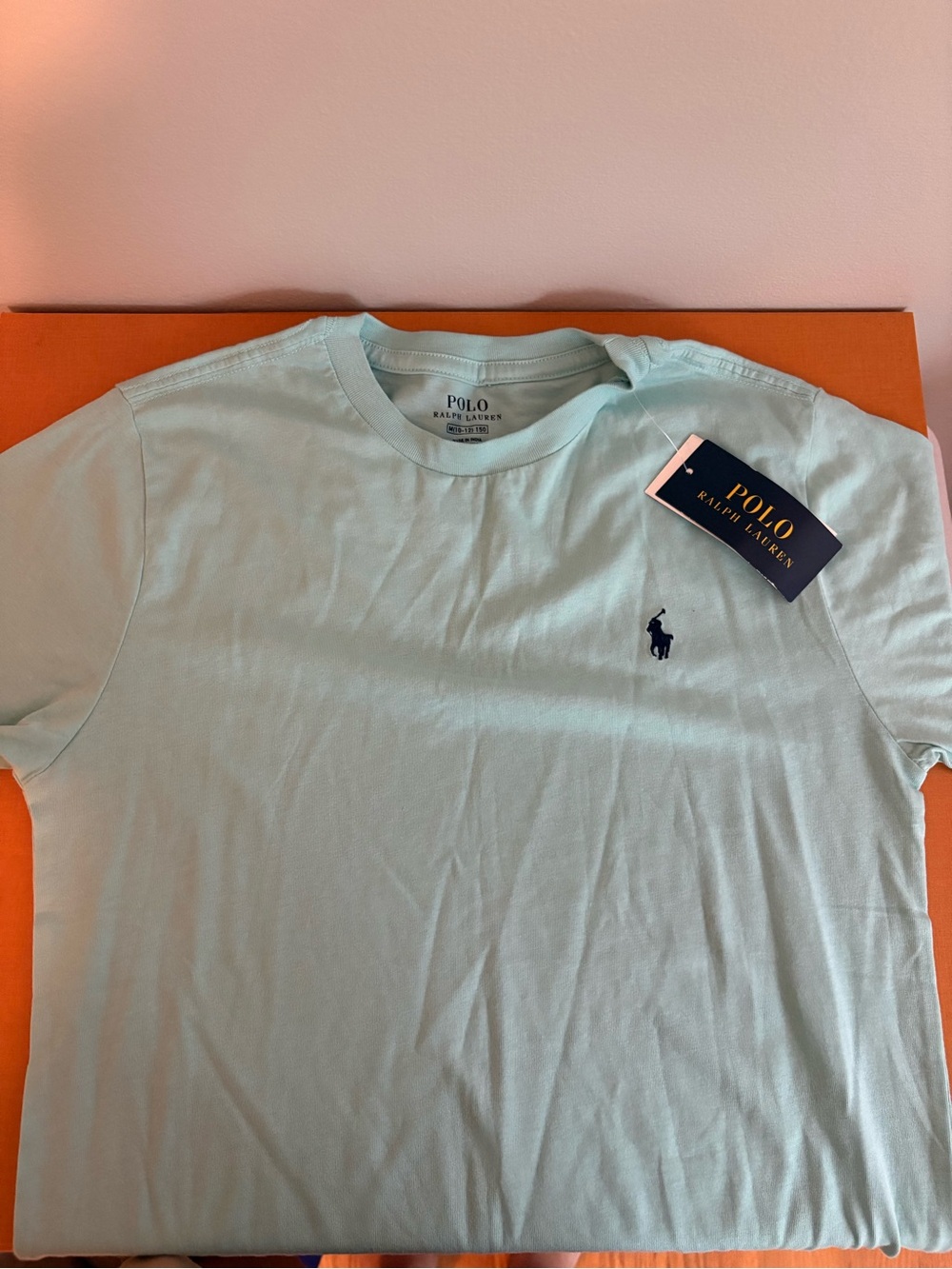 Polo by Ralph Lauren Kid’s Mint Crew Neck T-Shirt with Navy Logo